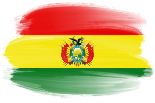 Bolivia Flag Brushstroke  